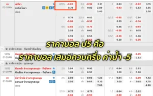 วิธีอ่านราคาบอล ป5 วิเคราะห์แม่นยำก่อนแทง เพื่อเพิ่มโอกาสชนะเดิมพันสูงสุด fun88thall.com